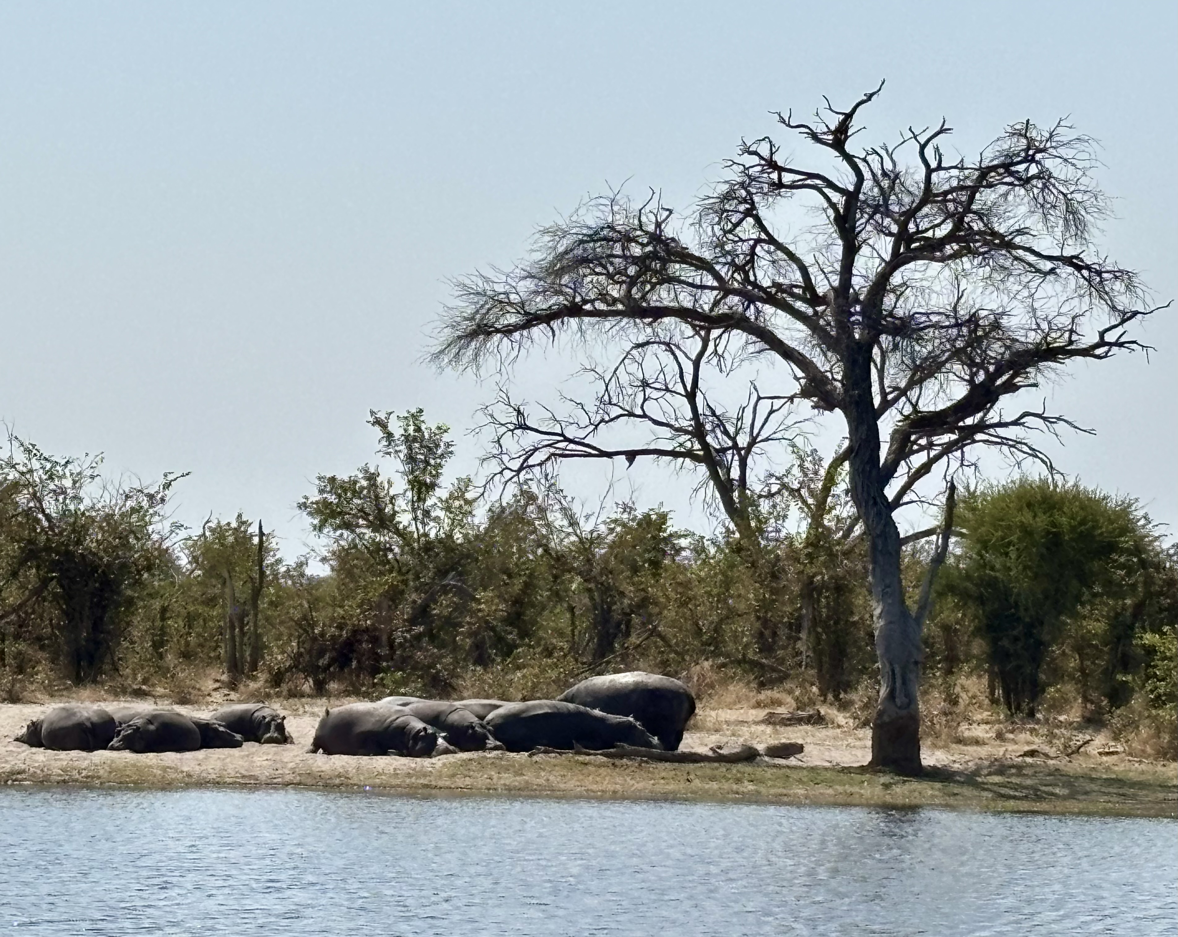 Botswana 2025
