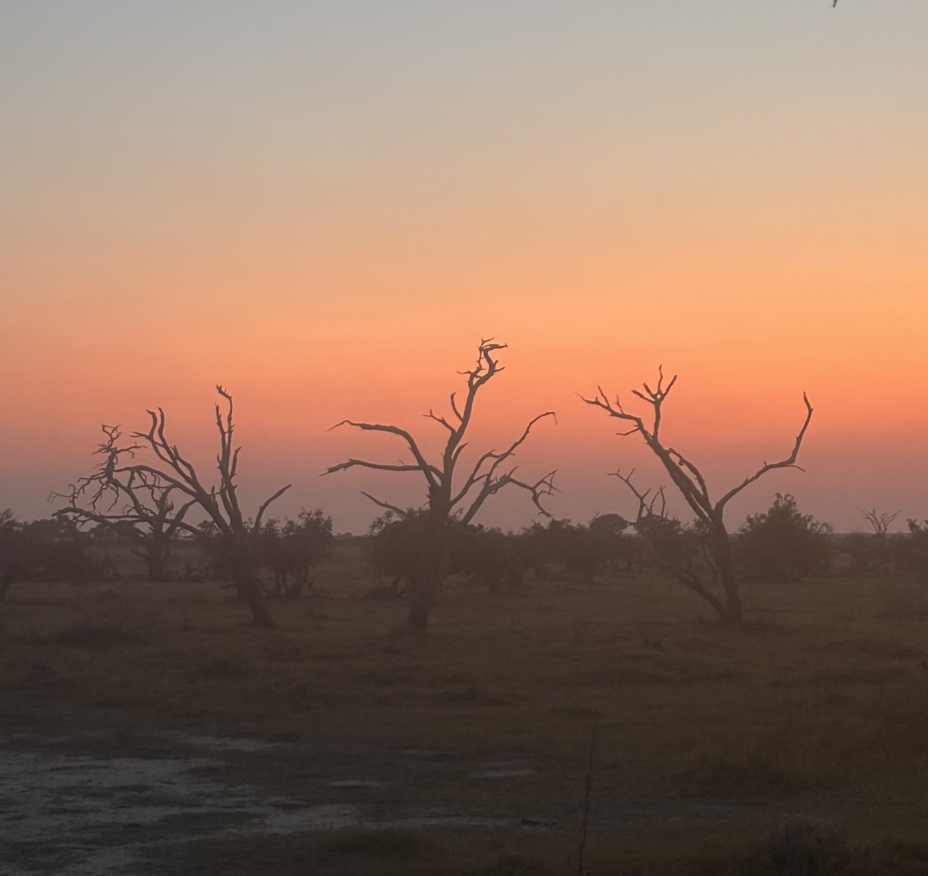 Botswana 2025