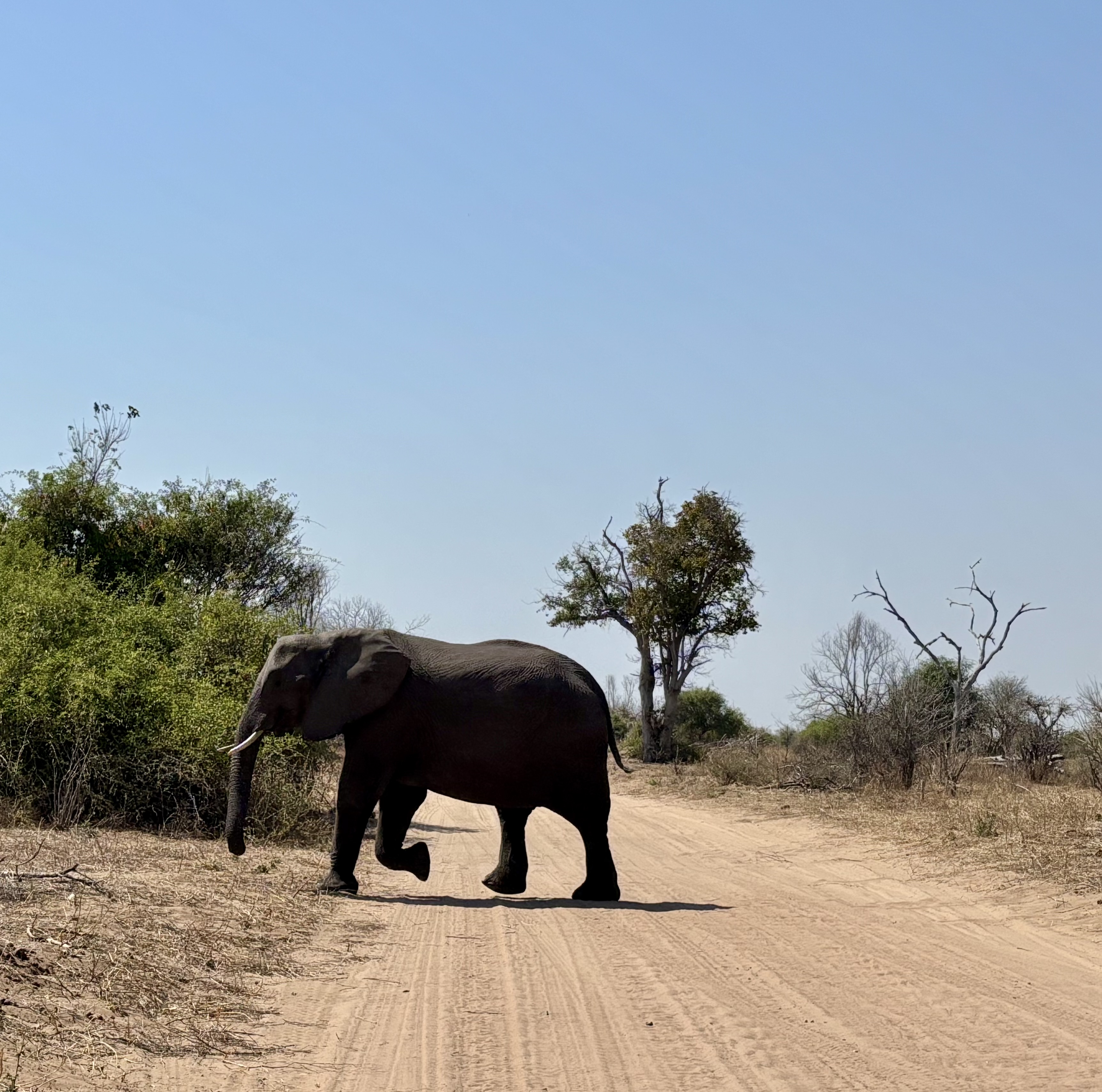 Botswana 2025