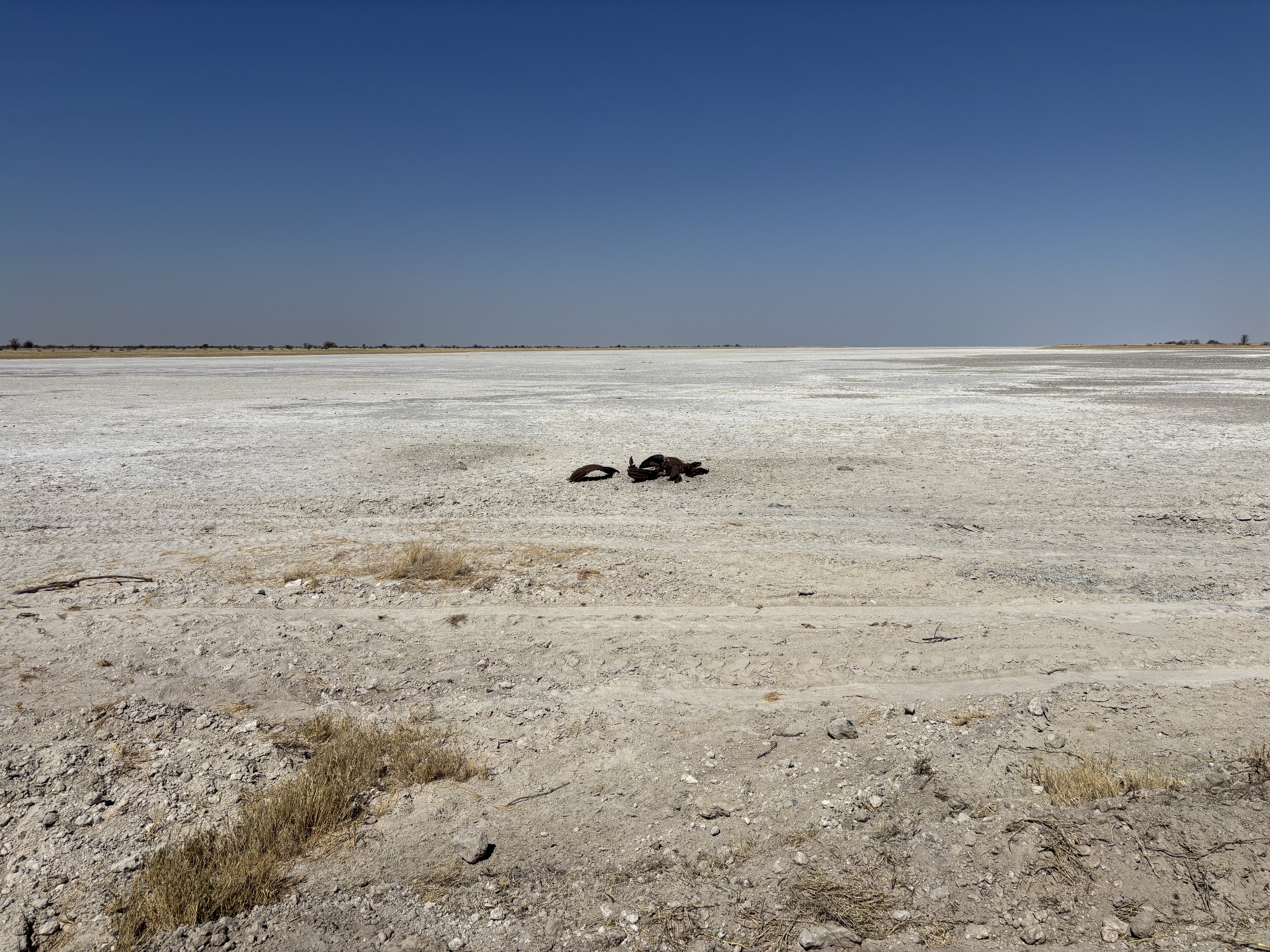 Botswana 2025