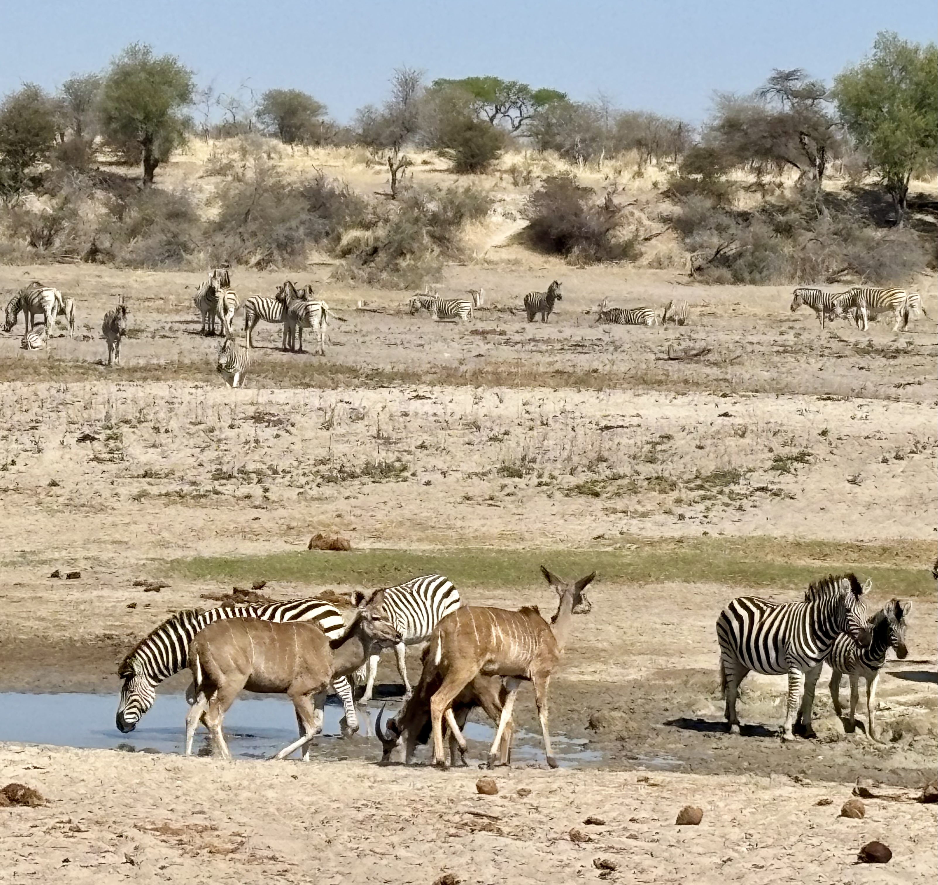 Botswana 2025