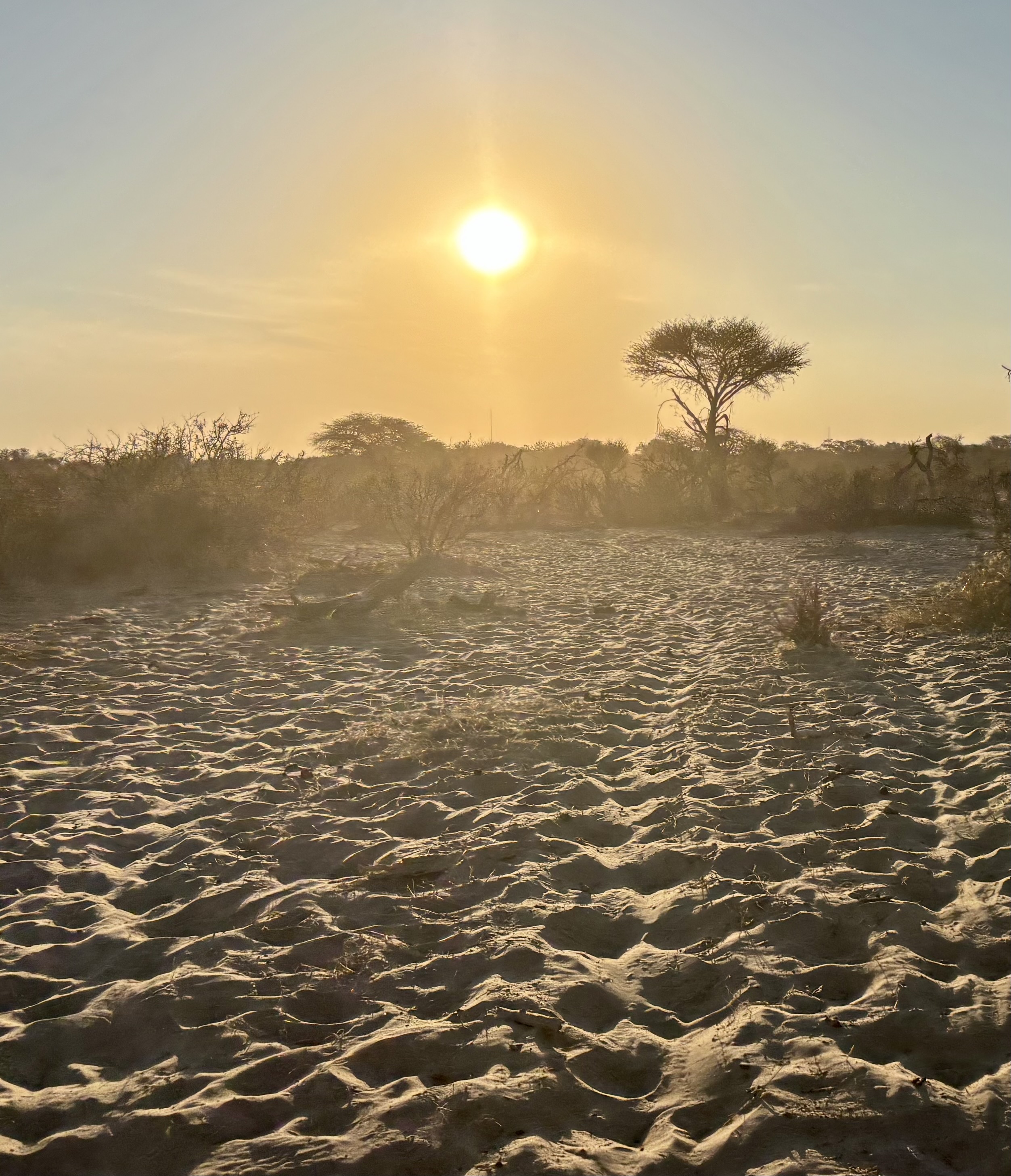 Botswana 2025