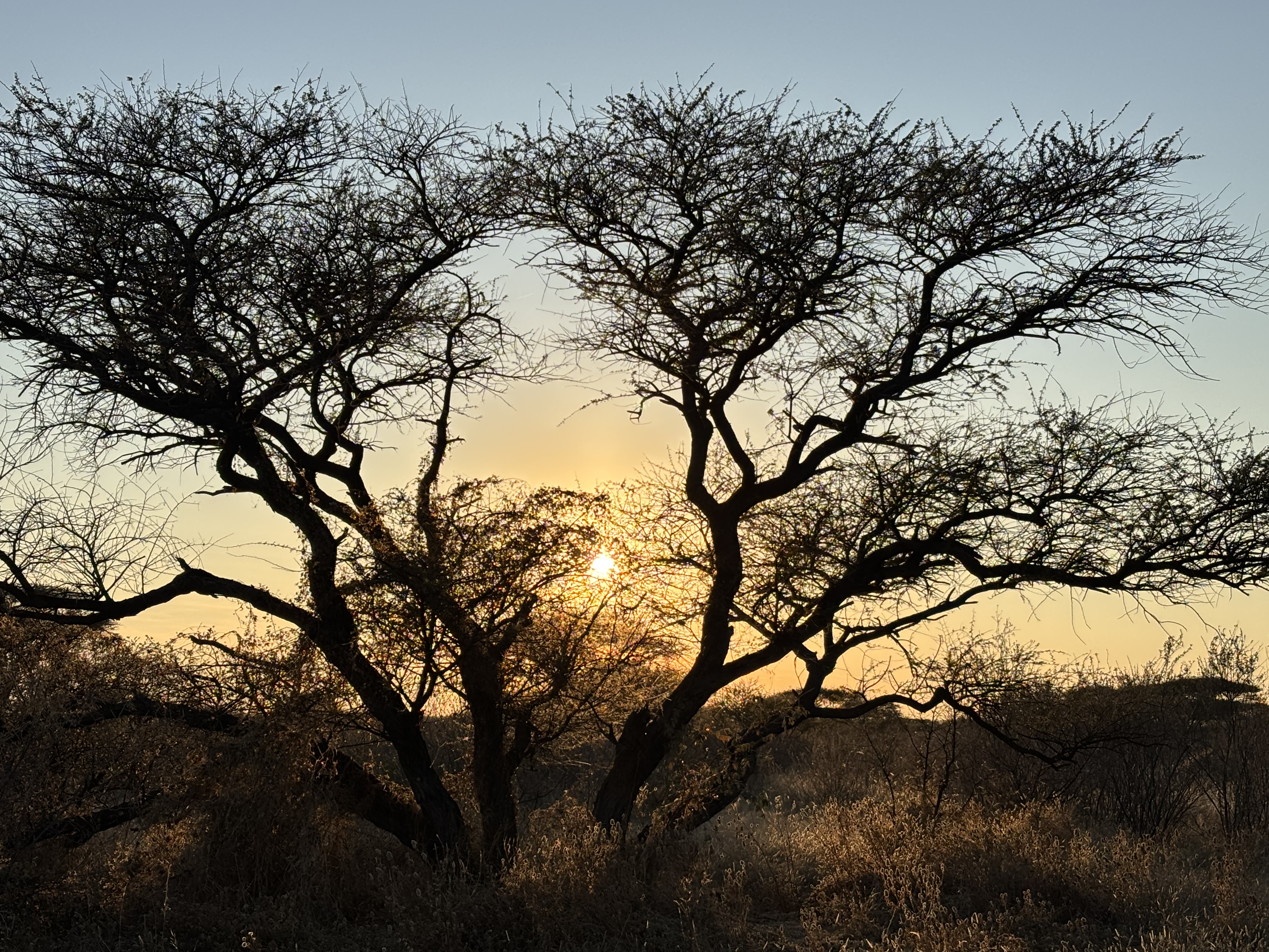 Botswana 2025