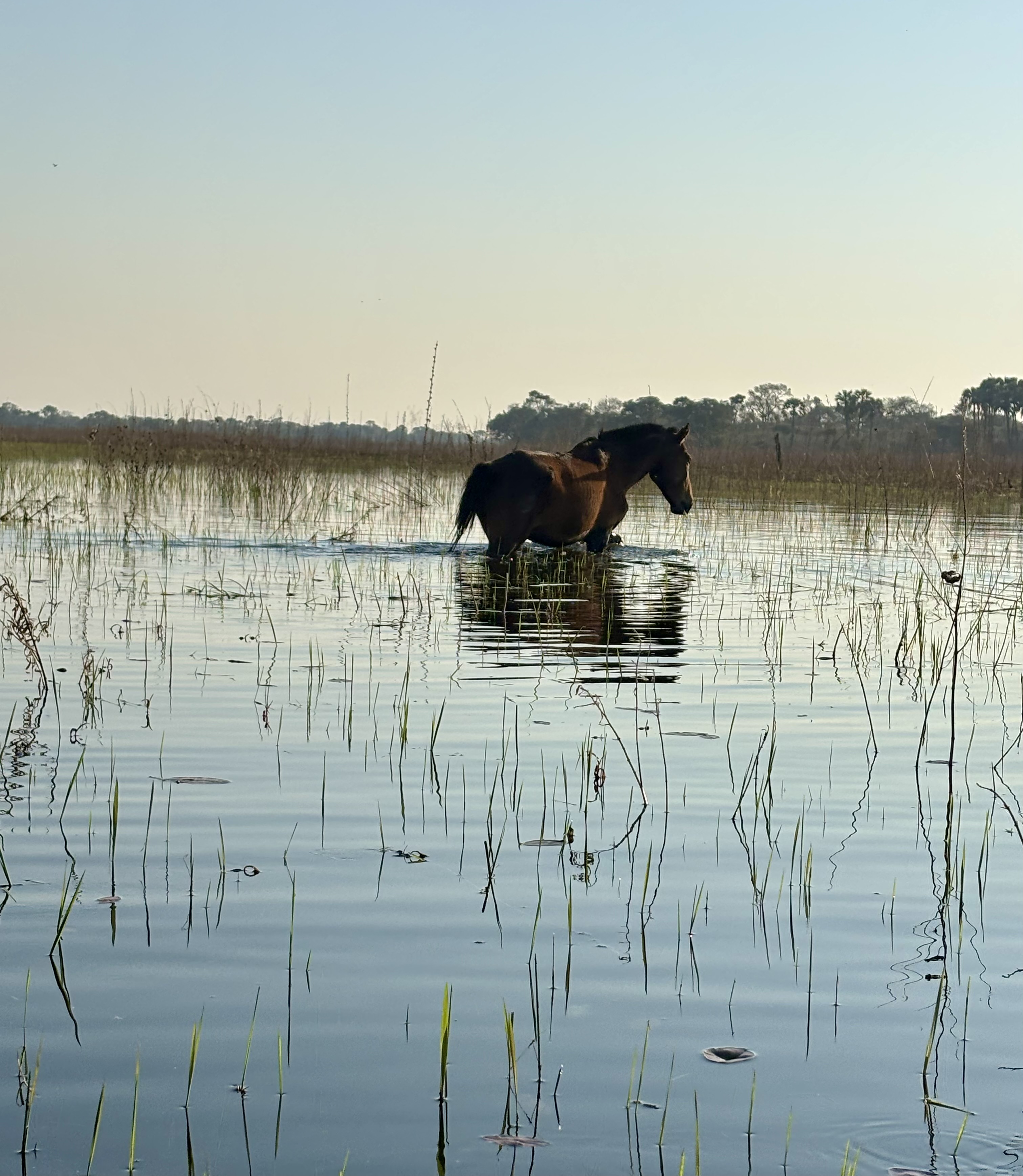 Botswana 2025