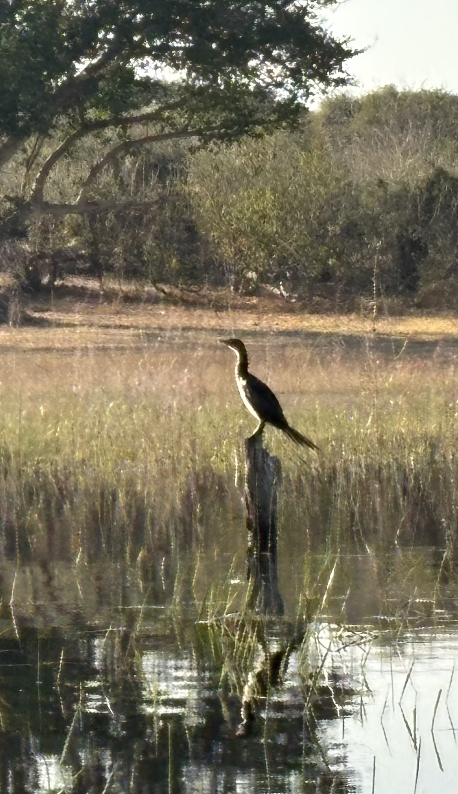 Botswana 2025