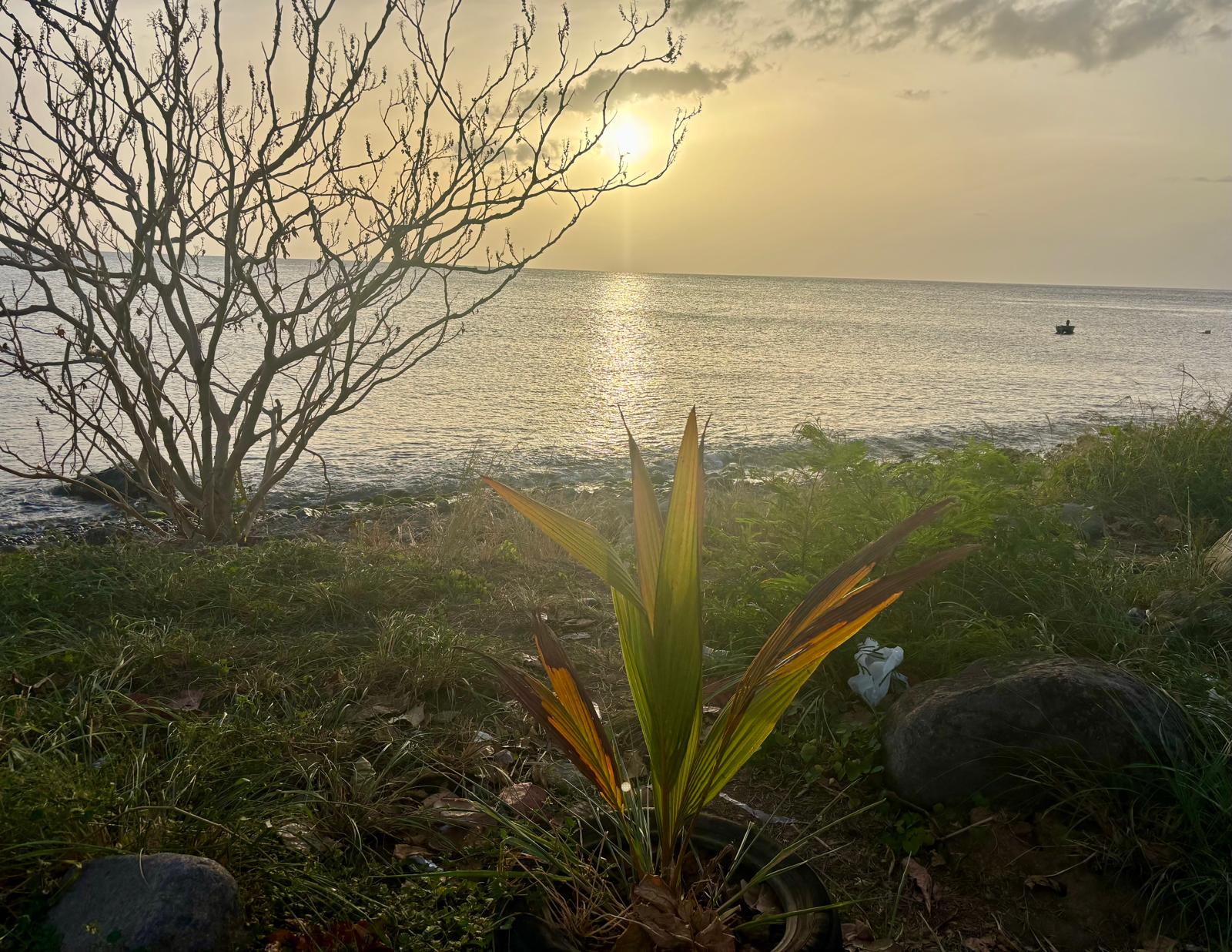 Guadeloupe + Terre de Bas 2026
