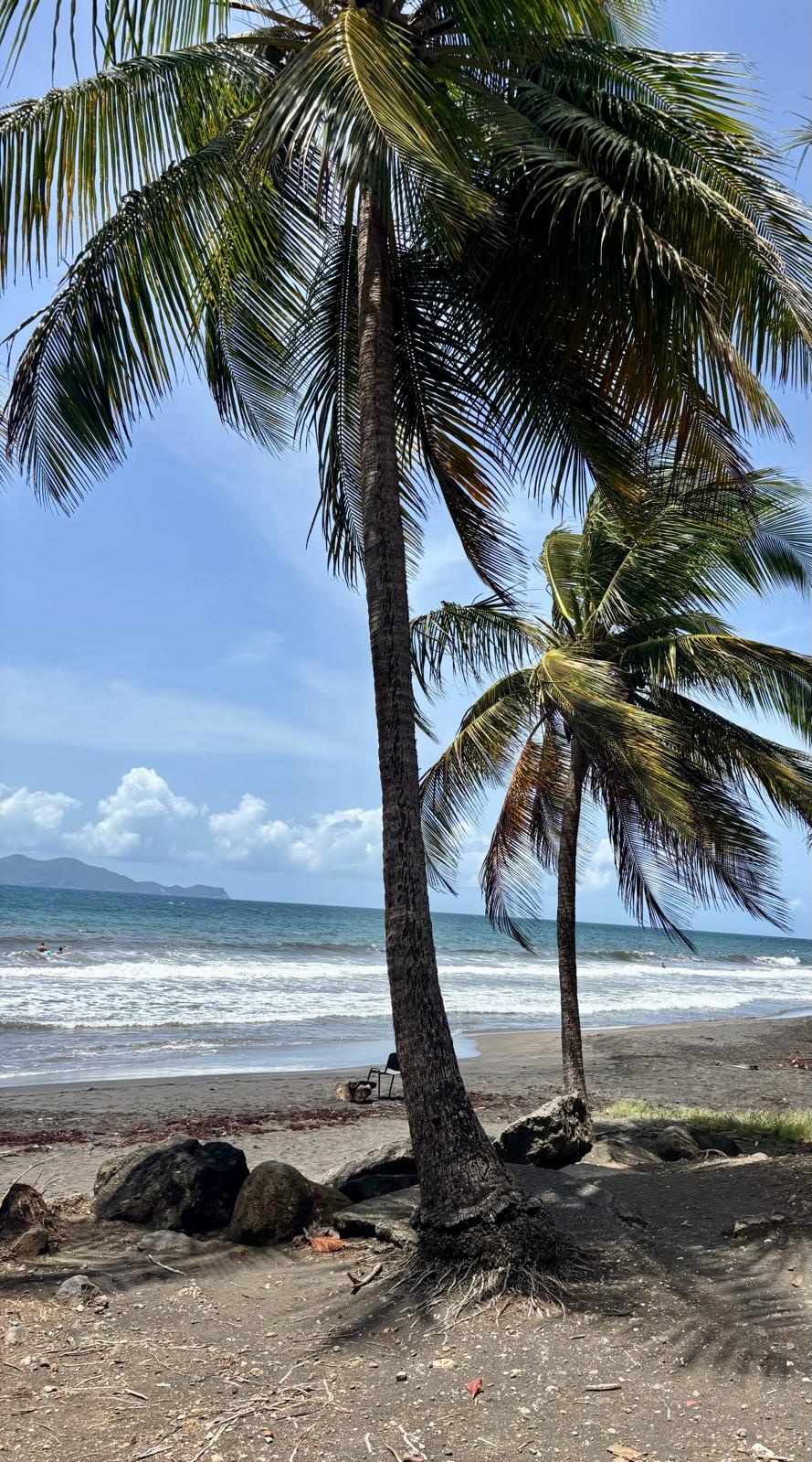 Guadeloupe + Terre de Bas 2026