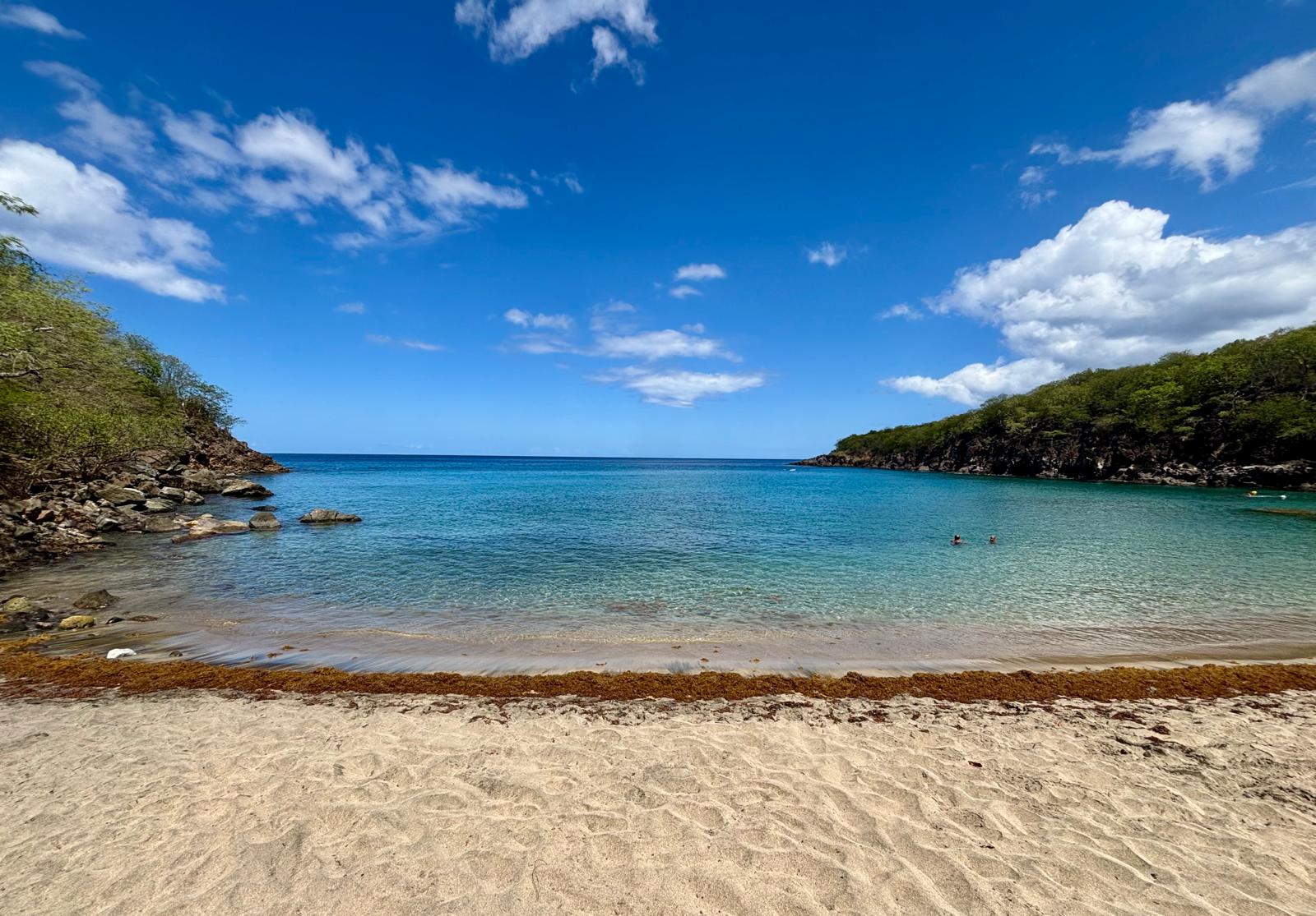 Guadeloupe + Terre de Bas 2026