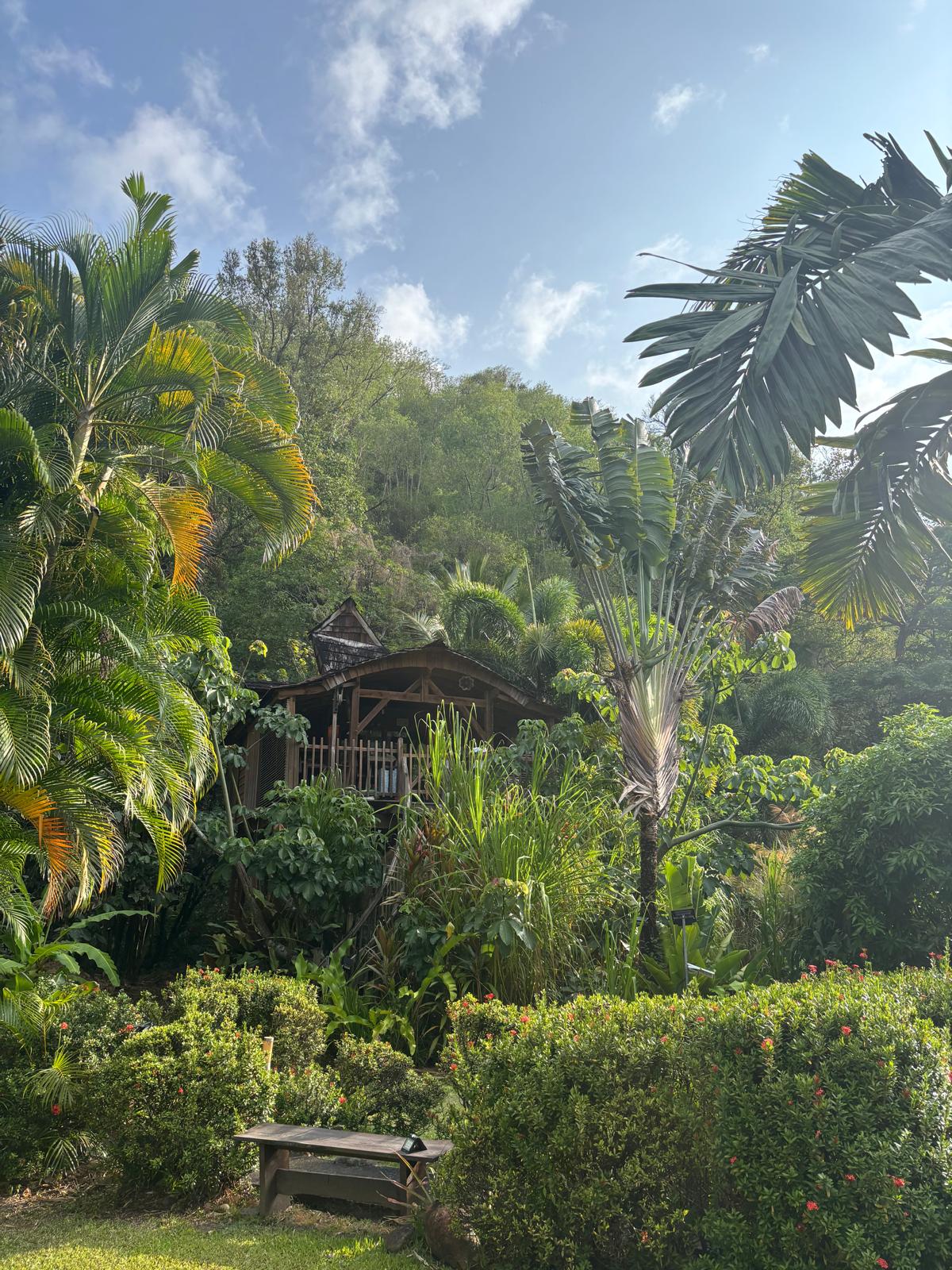 Guadeloupe + Terre de Bas 2026