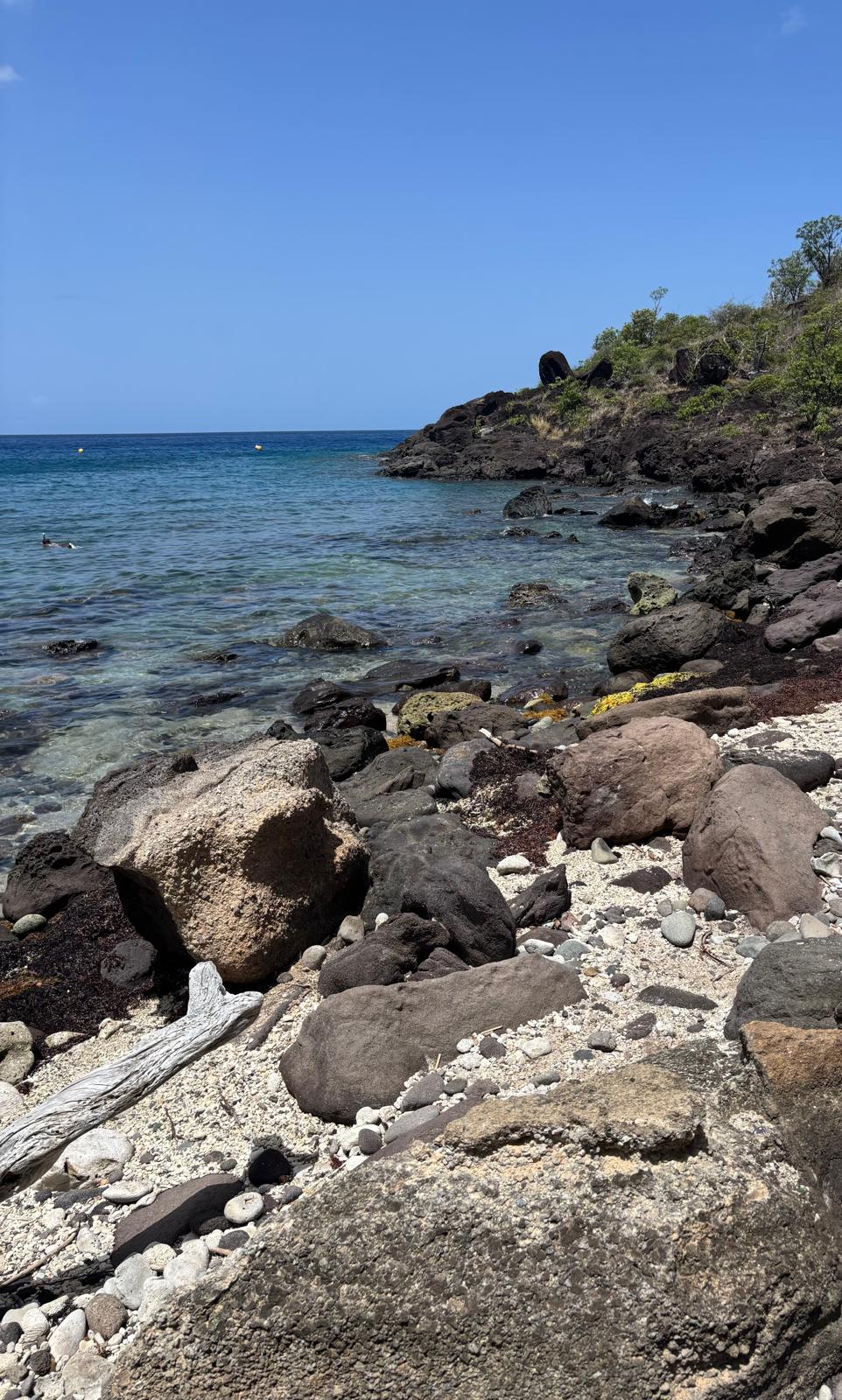 Guadeloupe + Terre de Bas 2026