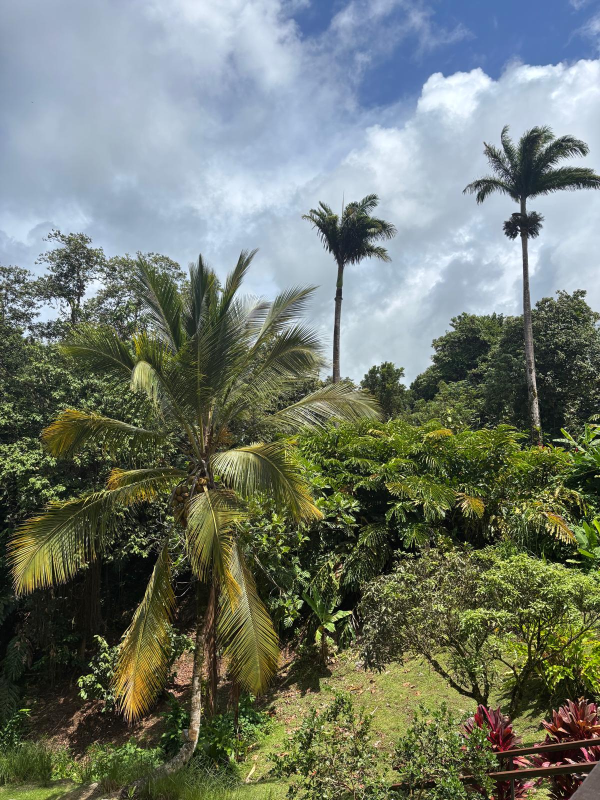 Guadeloupe + Terre de Bas 2026