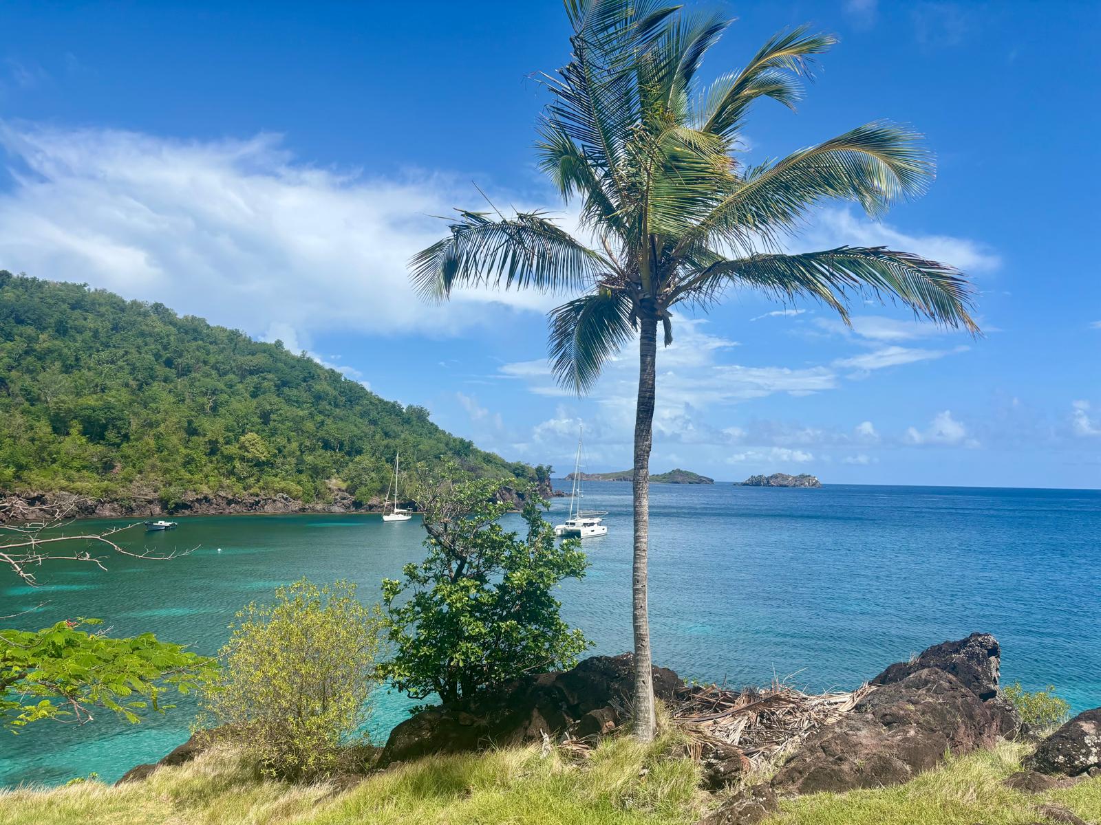 Guadeloupe + Terre de Bas 2026